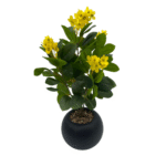 Artificial Yellow Flower Plant in Black Pot.(9922)-45