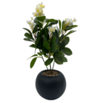 White Artificial Flower Plant in Black Pot.(9921)-46