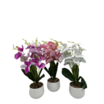 Faux Orchid Trio (9903)-64