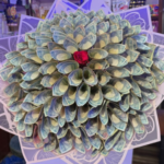 online gift delivery money bouquet