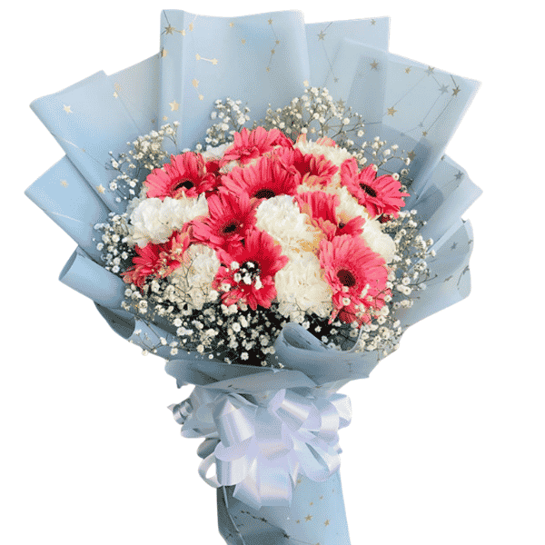 Pink Gerbera and White